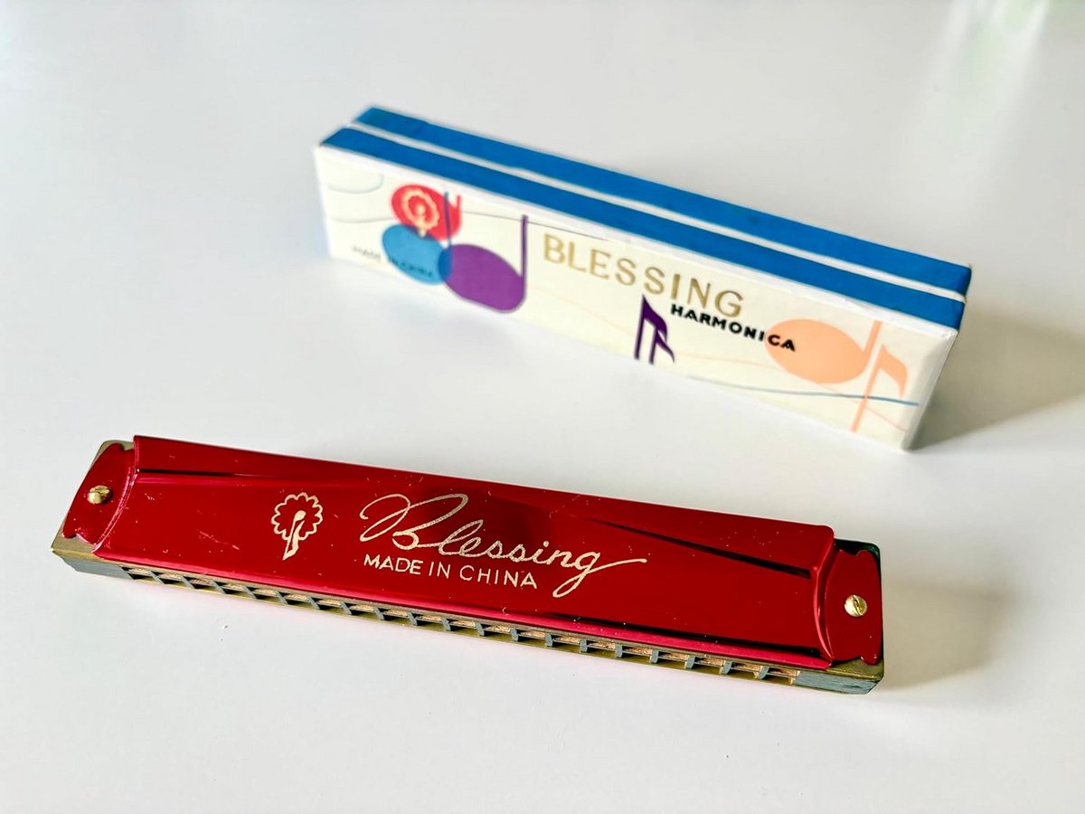 Metalen Mondharmonica in C-stemming met 40 Zangstemmen