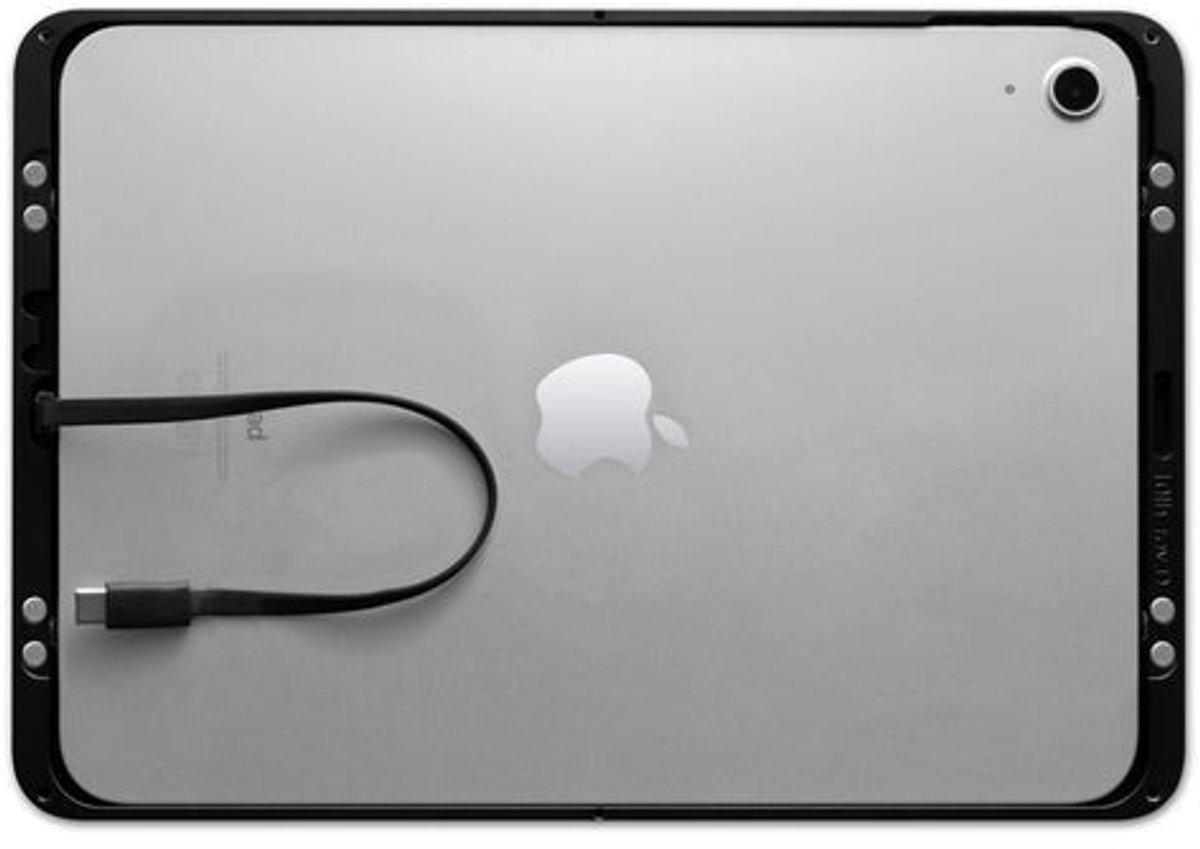 Dame Wall 2.0 voor iPad Pro 11" (M4/M5)- Kleurkeuze