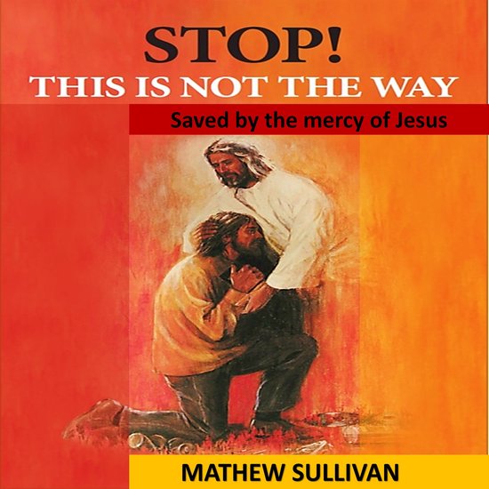 STOP! This is not the way - cover