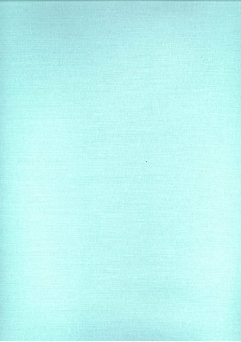 KARO - Katoenen Laken - 160x200 - Mint - 100% Katoen