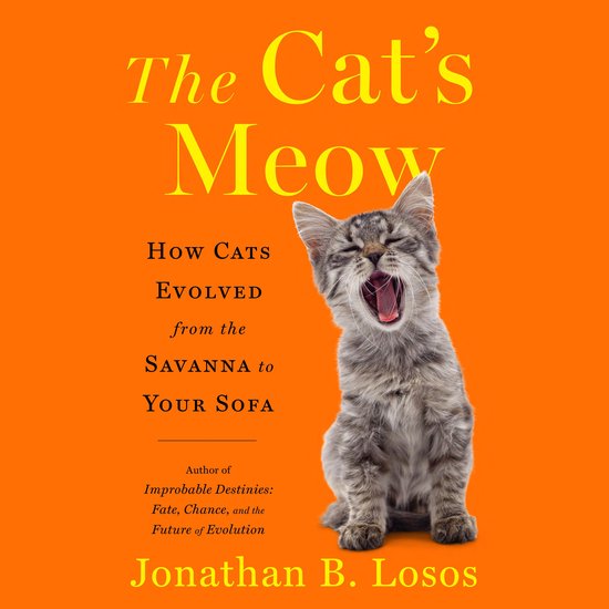 The Cat's Meow - cover