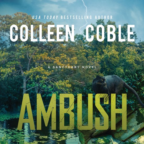 Ambush - cover