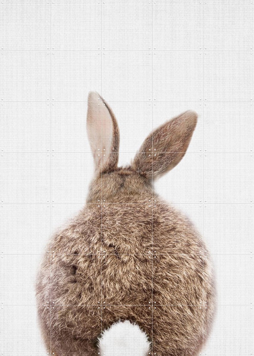IXXI Print 317 Rabbit, Lila + Lola - 100 x 140 cm - Gratis ophangtool - Grote wanddecoratie en posters - Fotografie, Minimalisme, Woonkamer