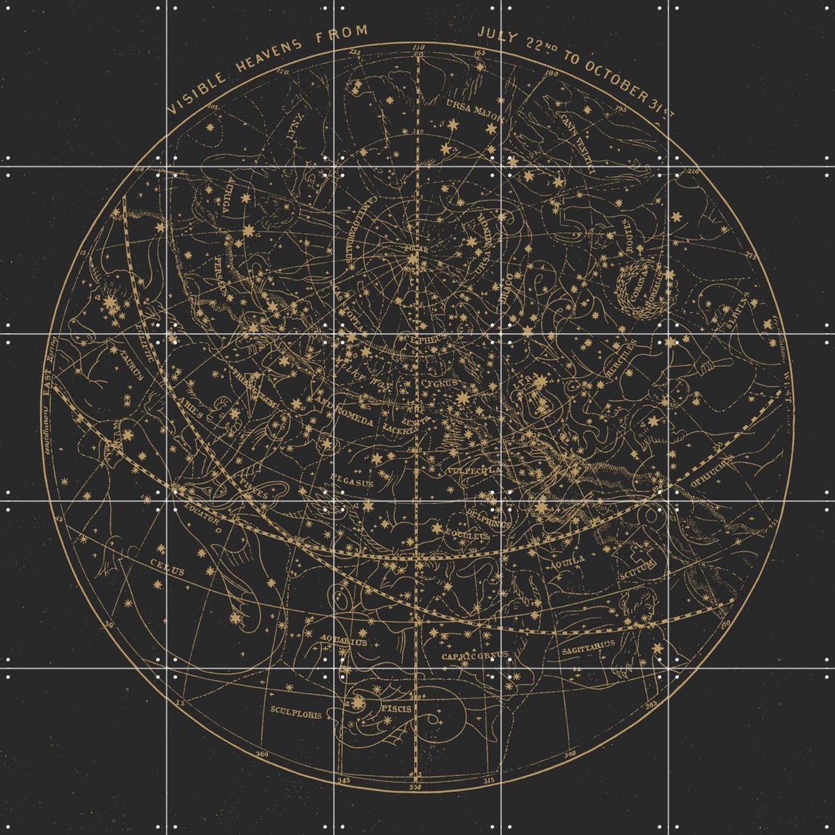 IXXI Visible Heavens Dark, Aster Edition - 100 x 100 cm - Gratis ophangtool - Grote wanddecoratie en posters - Illustraties, Technische Tekening