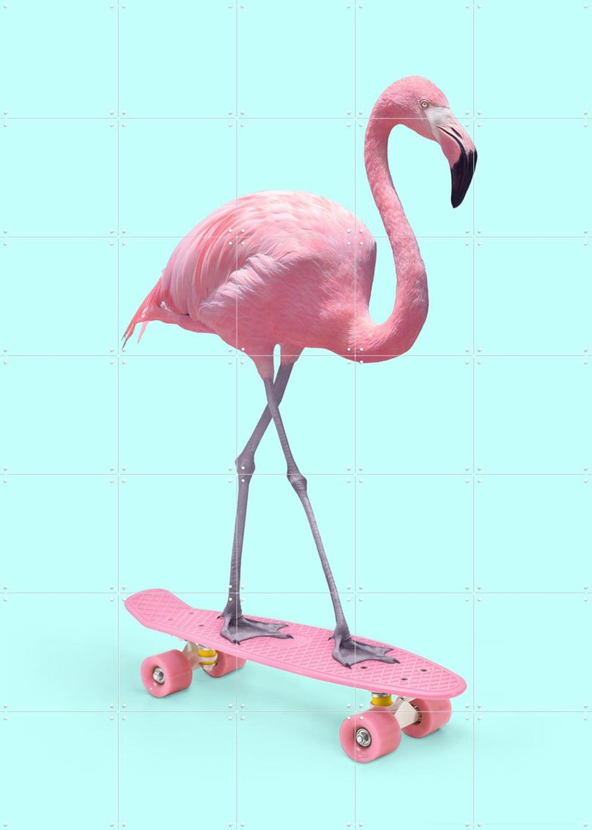 IXXI Skate Flamingo, Paul Fuentes - 100 x 140 cm - Gratis ophangtool - Grote wanddecoratie en posters - Kleurrijk, Surrealisme, Pop art, Grafisch