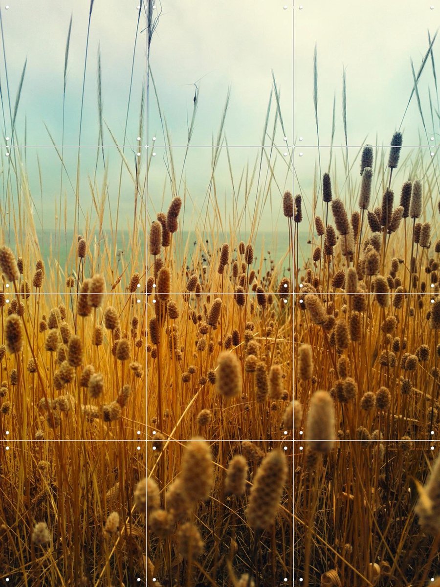 IXXI Golden Hours, Angelo Cerantola - 60 x 80 cm - Gratis ophangtool - Grote wanddecoratie en posters - Naturalisme, Fotografie, Slaapkamer