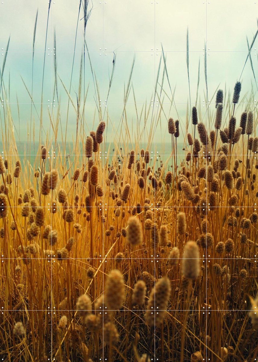 IXXI Golden Hours, Angelo Cerantola - 100 x 140 cm - Gratis ophangtool - Grote wanddecoratie en posters - Naturalisme, Fotografie, Slaapkamer