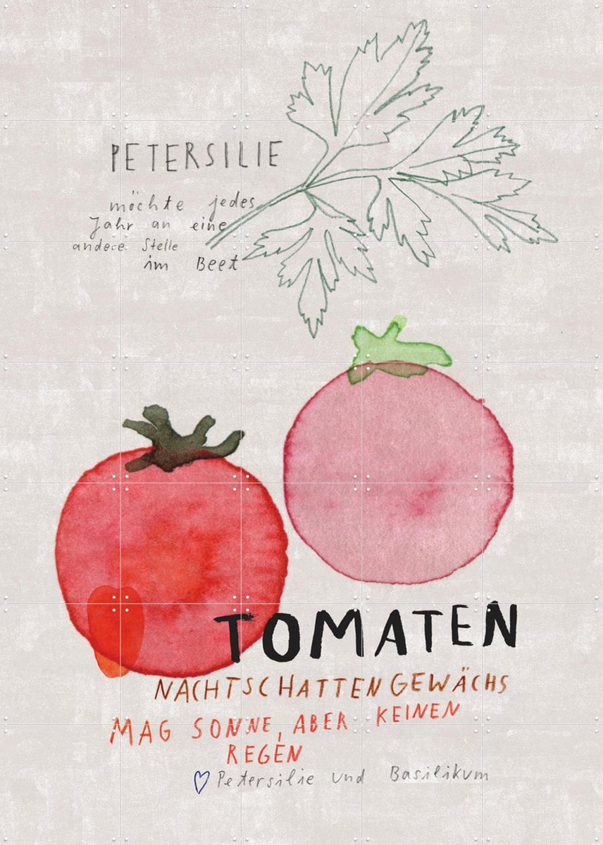 IXXI Tomaten DE, Signorinah - 100 x 140 cm - Gratis ophangtool - Grote wanddecoratie en posters - Aquarel, Speels, Illustraties, Woonkamer, Eetkamer