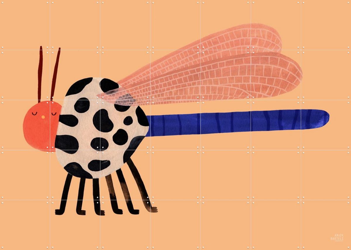 IXXI Chubby Dragonfly, Aniek Bartels - 140 x 100 cm - Gratis ophangtool - Grote wanddecoratie en posters - Kleurrijk, Speels, Illustraties