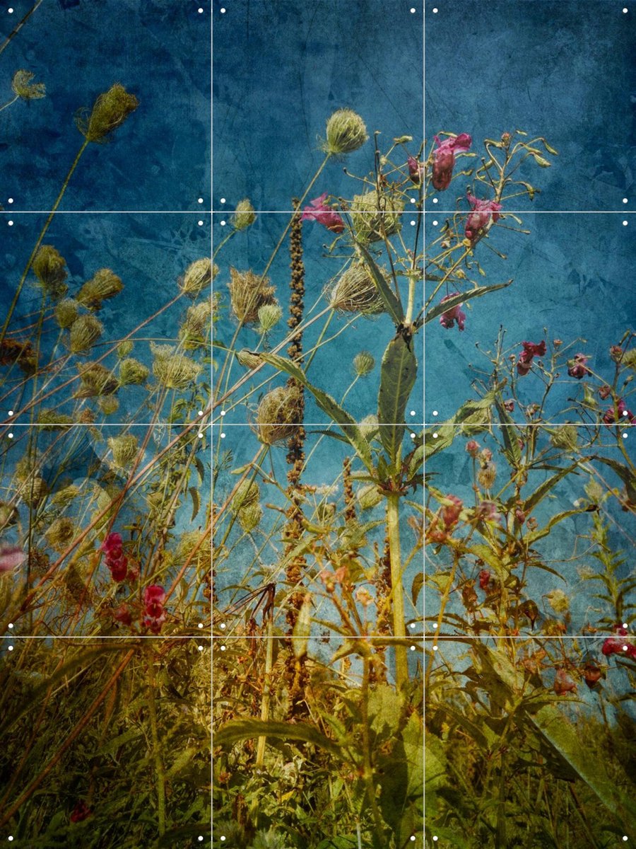 IXXI Heat Flowers, Angelo Cerantola - 60 x 80 cm - Gratis ophangtool - Grote wanddecoratie en posters - Vintage, Kleurrijk, Naturalisme, Fotografie