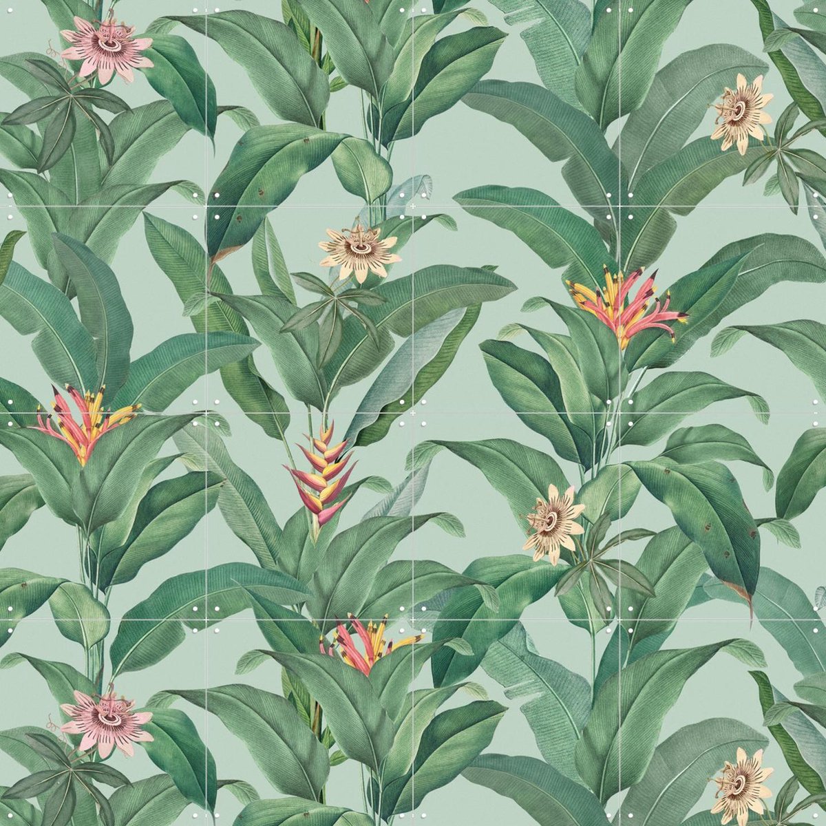 IXXI Tropical Jungle Climbing Leaves and passiflora flowers - mint, Bloomery Decor - 80 x 80 cm - Gratis ophangtool - Grote wanddecoratie en posters -