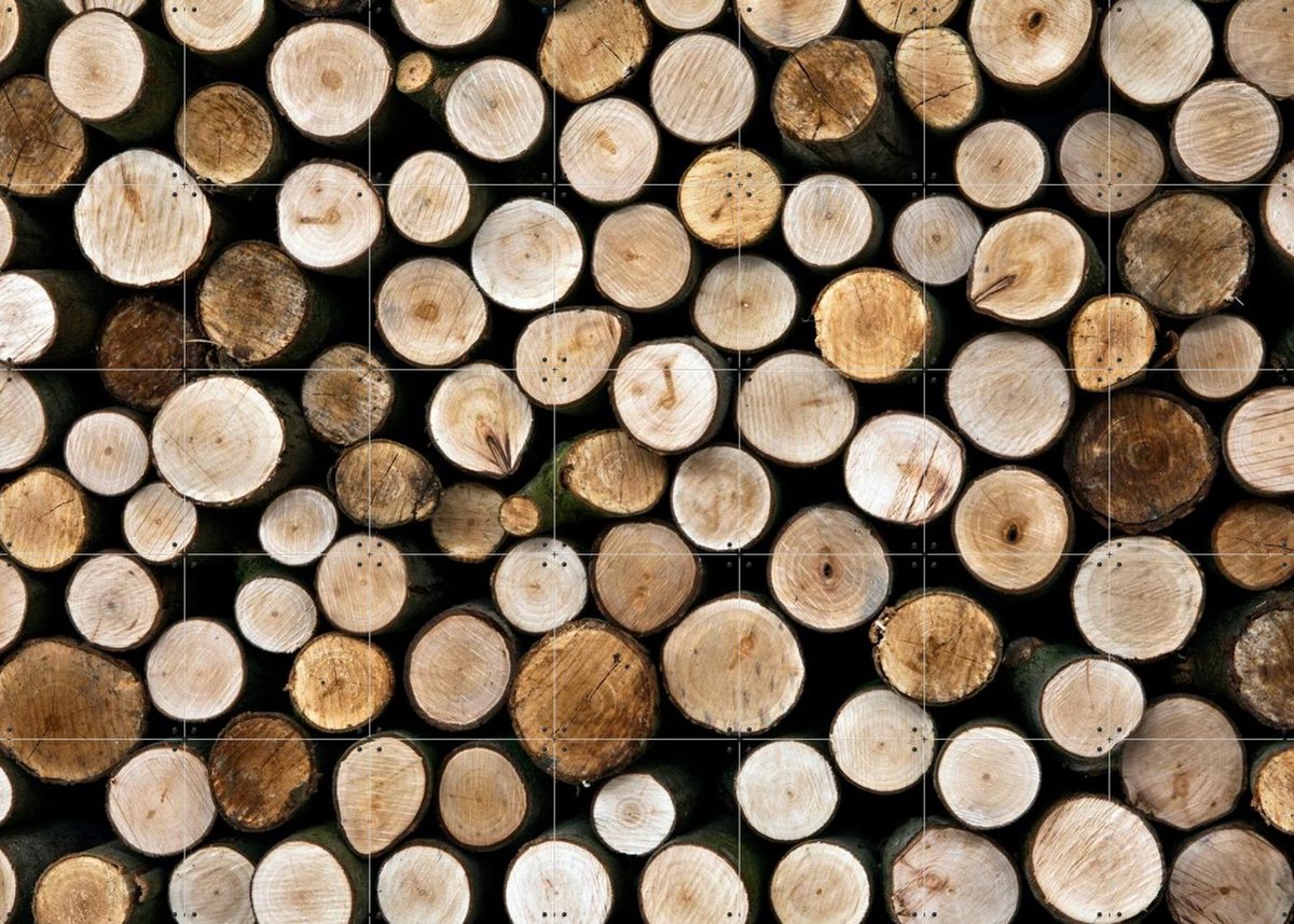 IXXI Wood, IXXI - 140 x 100 cm - Gratis ophangtool - Grote wanddecoratie en posters - Naturalisme, Fotografie, Slaapkamer, Eetkamer, Woonkamer