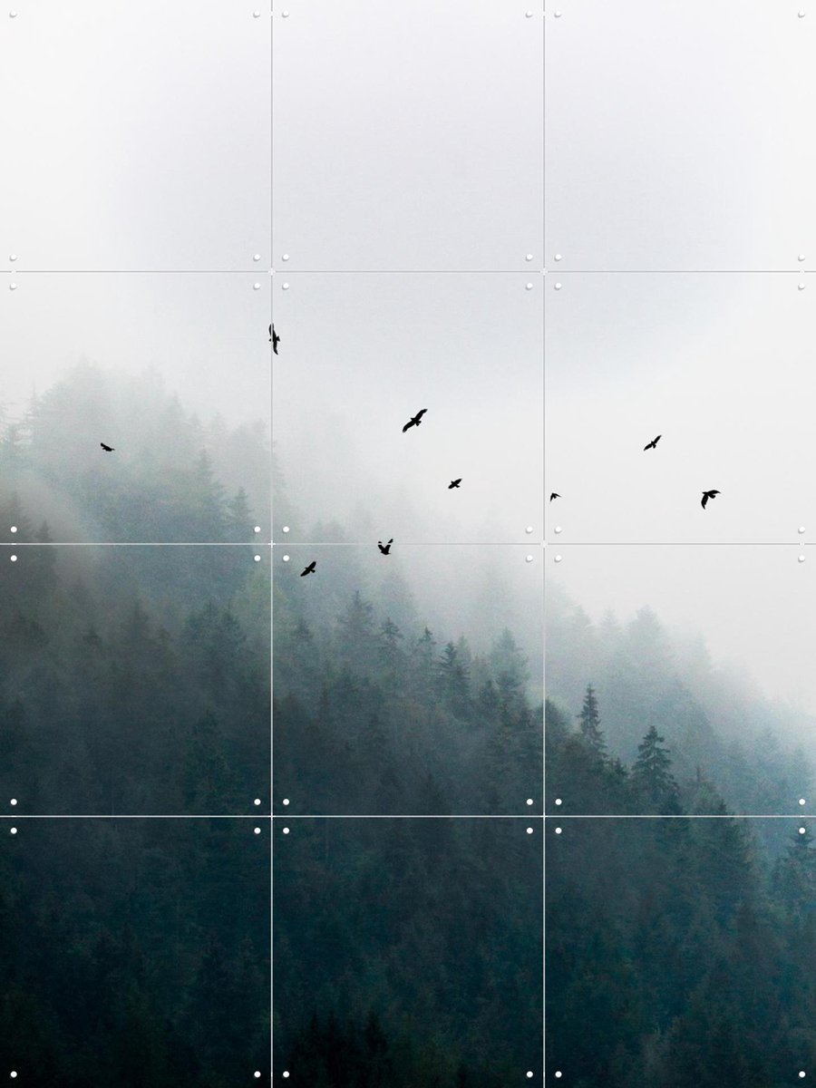 IXXI Foggy Morning 4, Mareike Böhmer - 60 x 80 cm - Gratis ophangtool - Grote wanddecoratie en posters - Minimalisme, Naturalisme, Fotografie