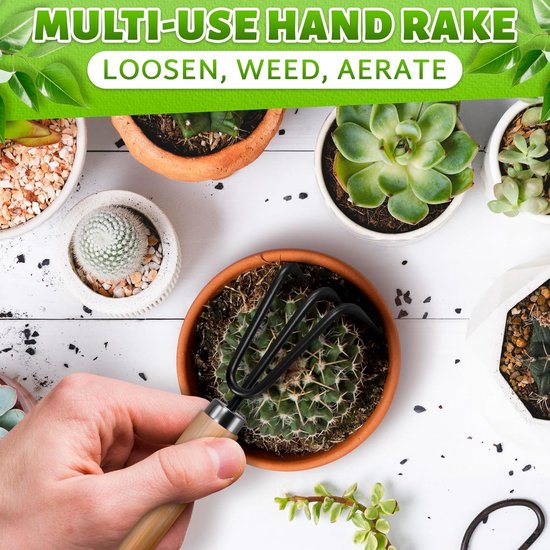Dailygoods- Mini-Tuingereedschapset 3-delig - Hark - Kleine Schep - Grote Schep - Tuingereedschap - Hoogwaardig Hout/Roestvrij Staal van Dailygoods — afbeelding 4