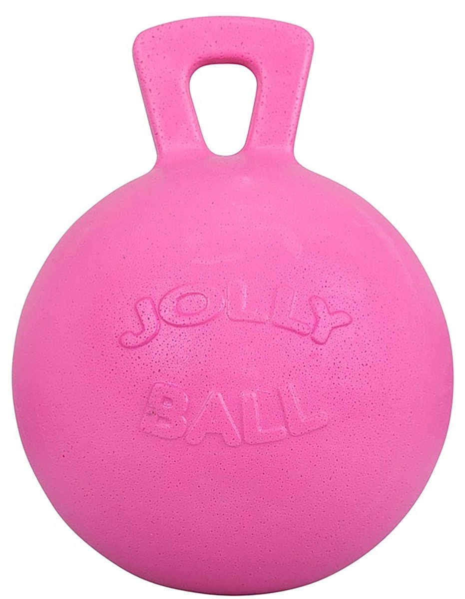 Jolly Pets Jolly Ball - Ø 25 cm – Paarden speelbal met bubblegumgeur – Ter vermaak in de stal en in het weiland - Bijtbestendig - Roze