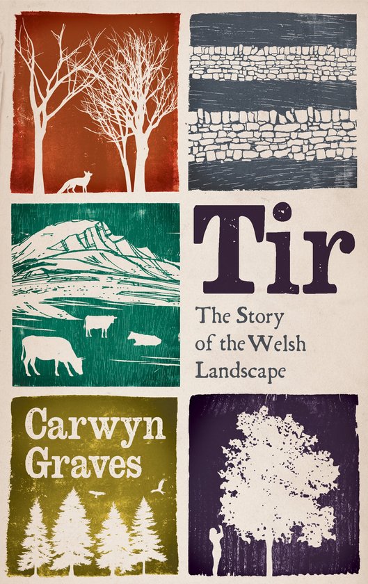 Tir - cover