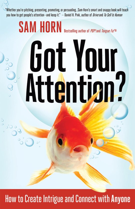 Got Your Attention? - cover