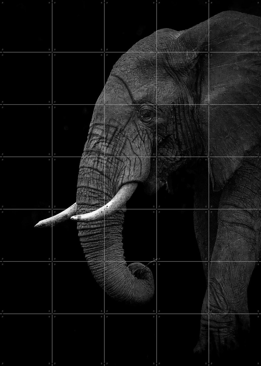 IXXI Elephant, Ahmed Sobhi & Various - 100 x 140 cm - Gratis ophangtool - Grote wanddecoratie en posters - Fotografie, Kinderkamer, Woonkamer