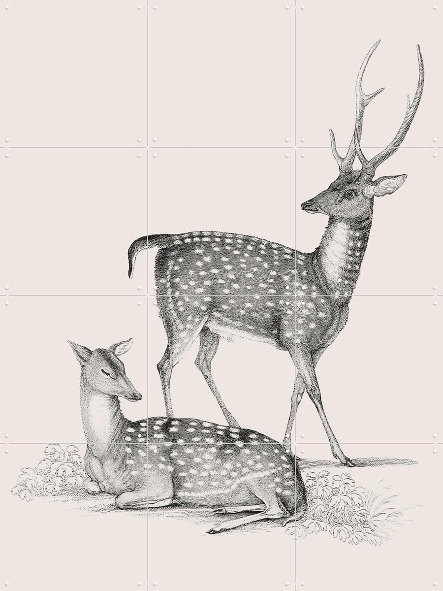 IXXI Deer light, IXXI - 60 x 80 cm - Gratis ophangtool - Grote wanddecoratie en posters - Illustraties, Vintage, Woonkamer, Natuur, Wilde dieren