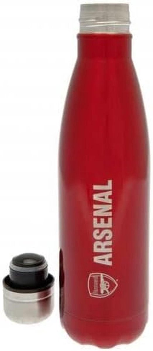 Thermische Fles Rood Metaalachtig 550 ml - Officieel Gelicentieerd