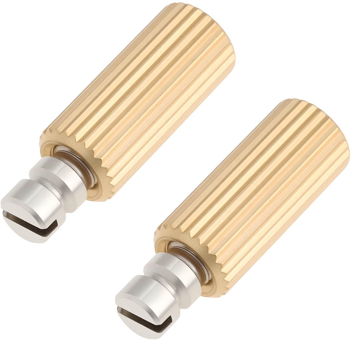 Tremolo Bridge Anker Bouten - Veiligheid en Precisie - 31,1 x 10 mm