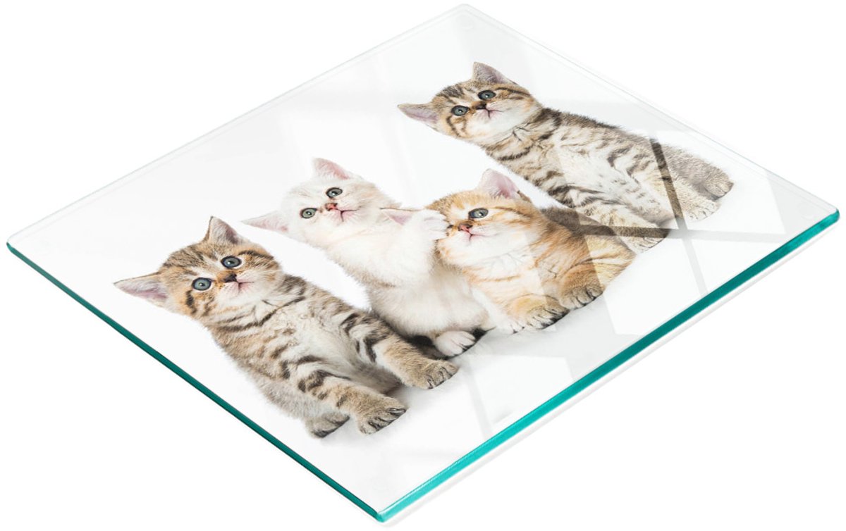Keukenplank van gehard glas met decoratieve afbeeldingen van kleine katjes, 60x52 cm