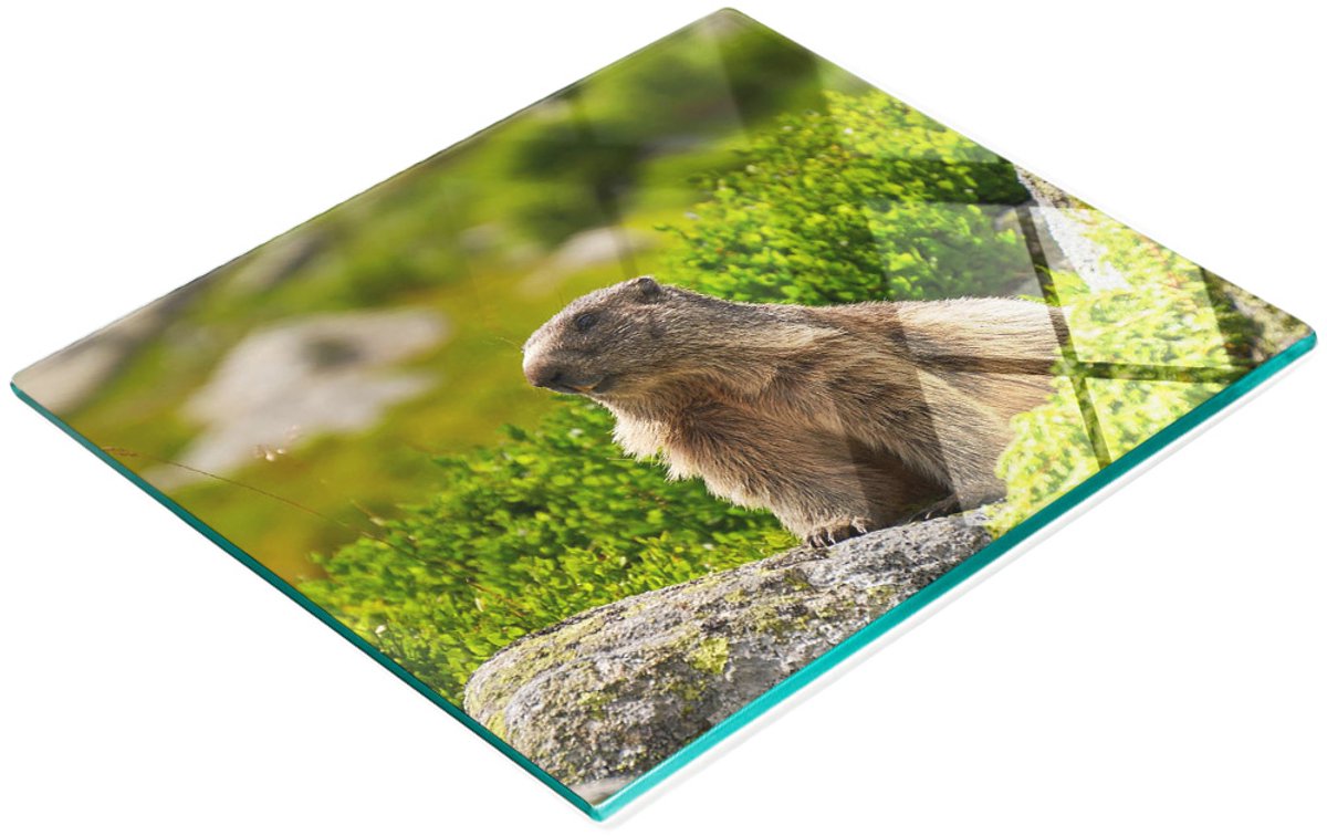 Stijlvol en duurzaam glazen bord met Tatra Marmot-print, 60x52 cm