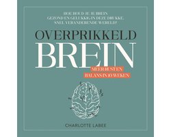 Omslag van Overprikkeld Brein