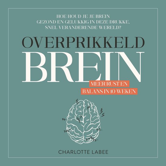 Overprikkeld Brein - cover