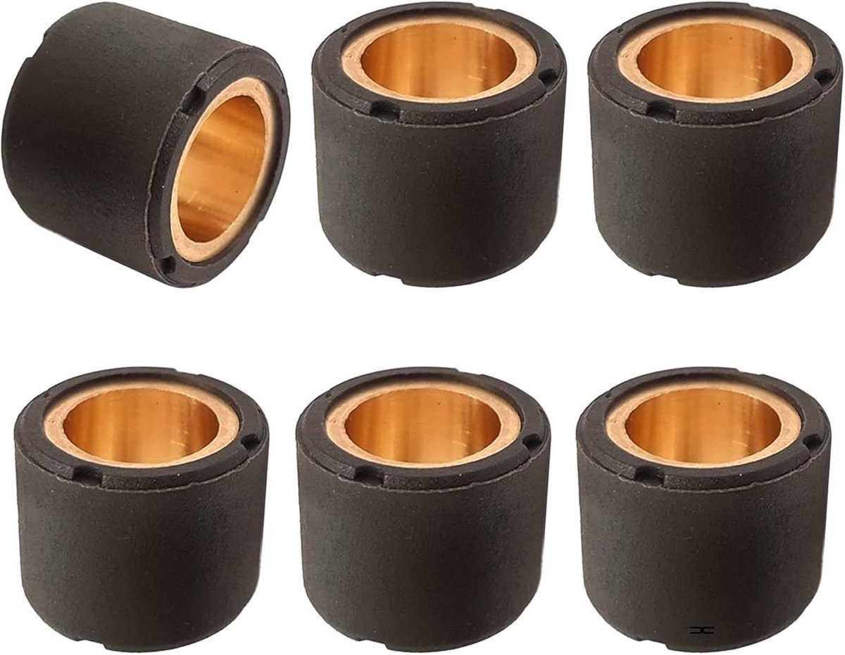 Variogewogen Variorollen 16 x 13 mm voor Mopeds - 4,0 G tot 9,0 G