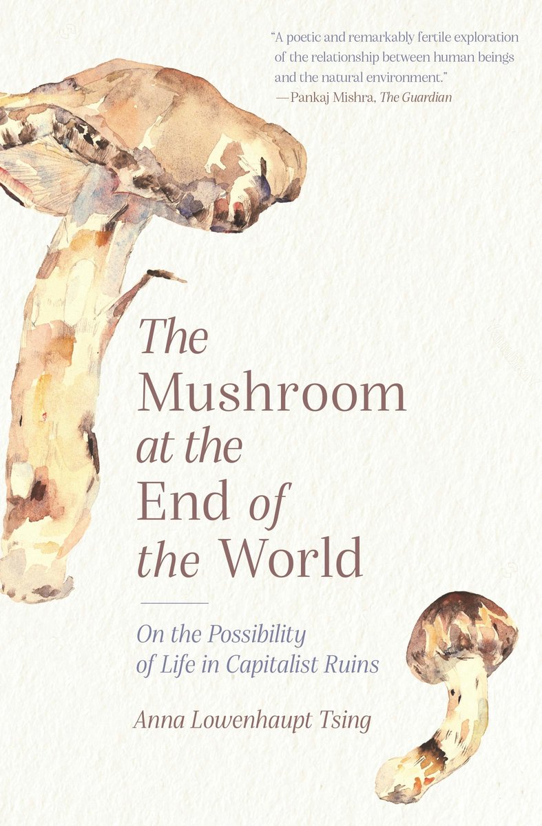 Omslag van The Mushroom at the End of the World