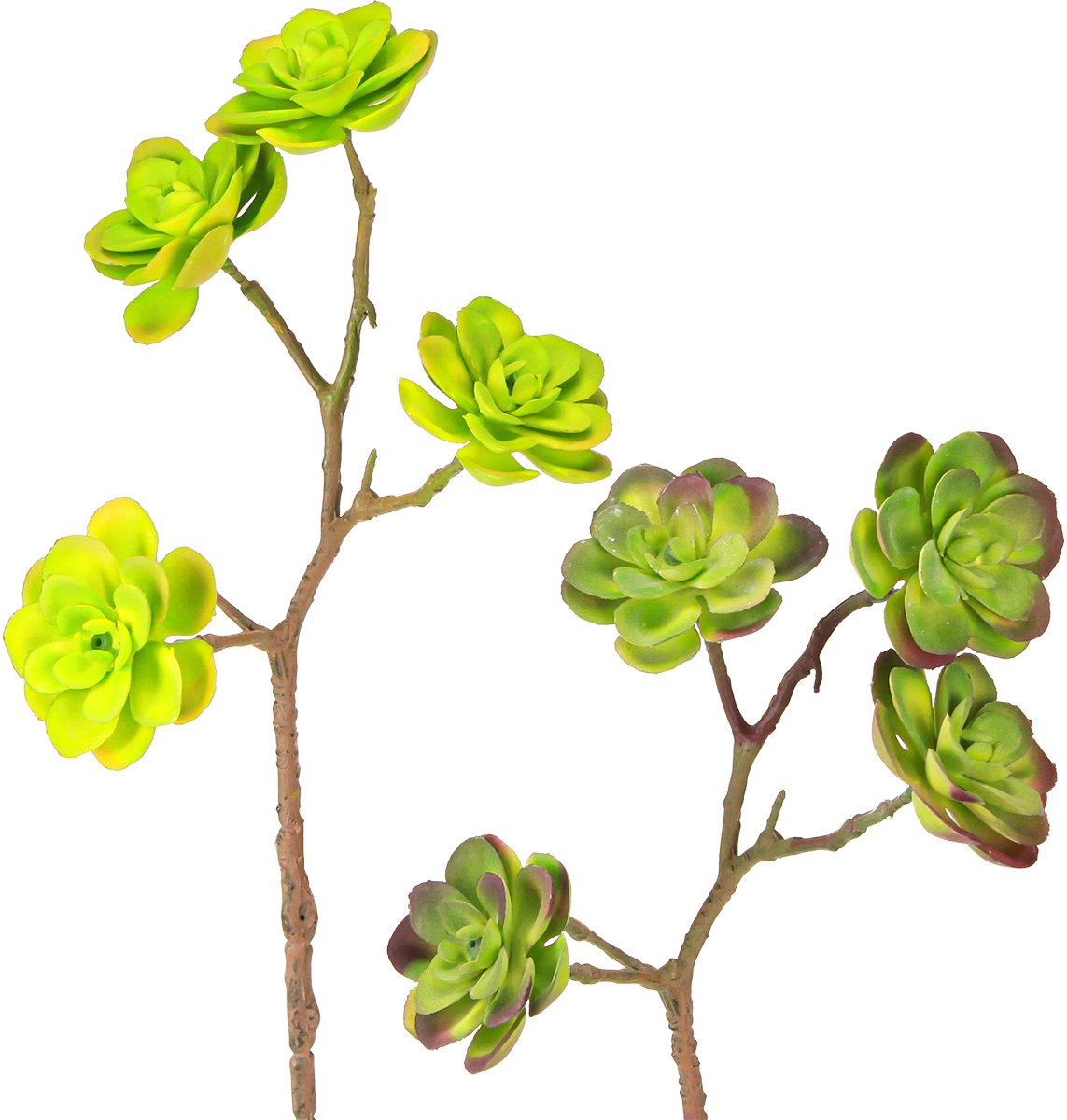 Kunstmatige vetplanten met stengel groen paars assorti 32cm 2st, 2 Stü