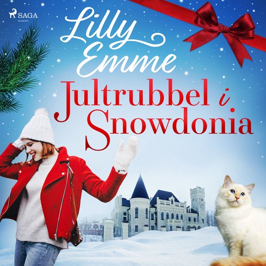 Jultrubbel i Snowdonia - cover