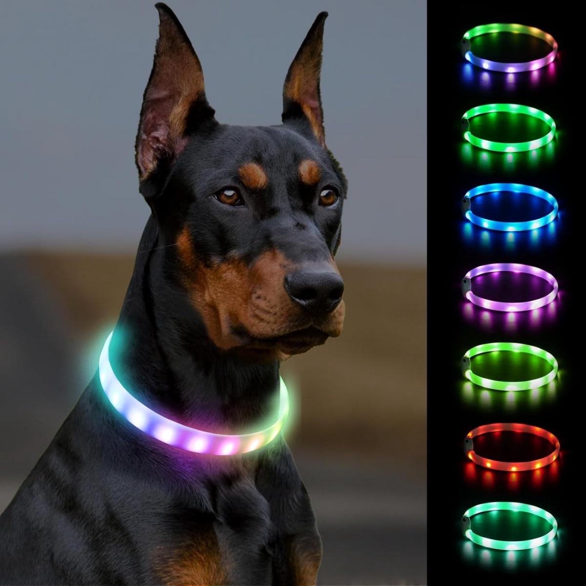 Hondenhalsband LED - Opvoerbare Gloeiende Hondenhalsband - Verstelbare Lengte - 9 Lichtmodi - Waterbestendig - 55 cm - Zwart