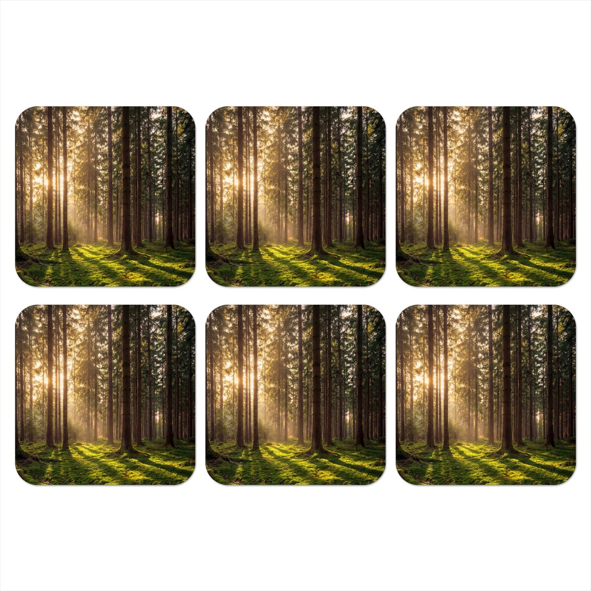 Onderzetters voor glazen - Bos - Gras - Zonlicht - 10x10 cm - Glasonderzetters - 6 stuks