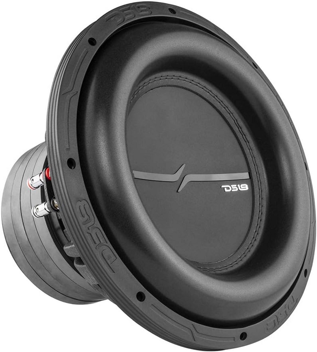 Krachtige 12 Inch Auto subwoofer 2000 Watt Dubbele Spreekspoel