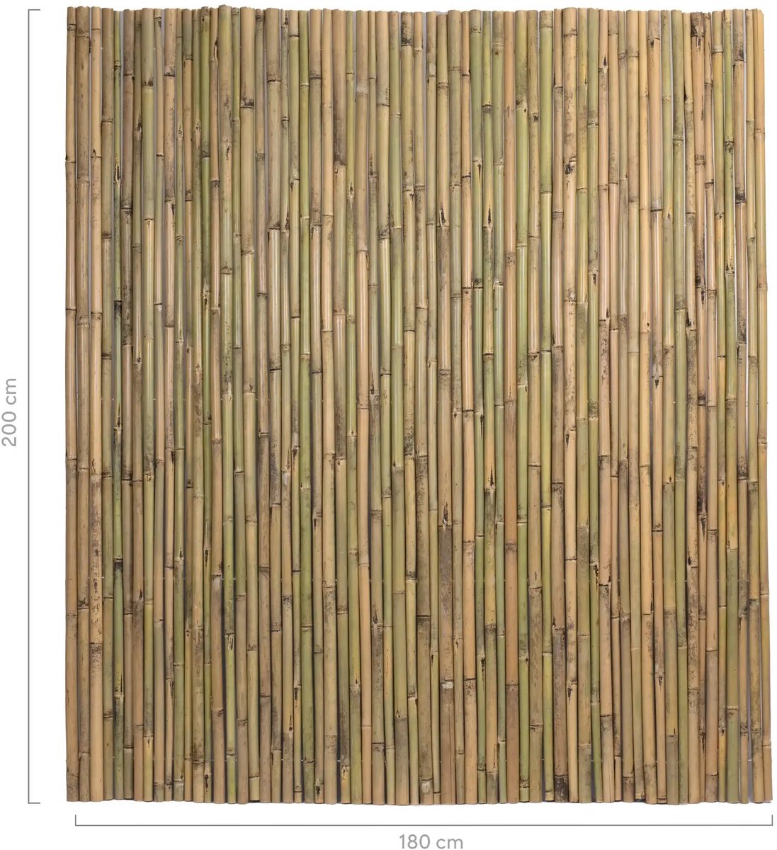 Masters of Bamboo® Bamboemat Basic - 180 x 200 cm - Naturel - Bamboe schutting op rol - Bamboe mat