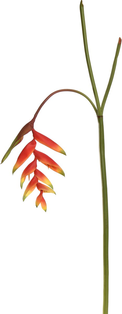 Pure Royal kunsttak heliconia 130cm rood