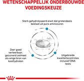 Hondenbrokken kopen - Online en voordelig