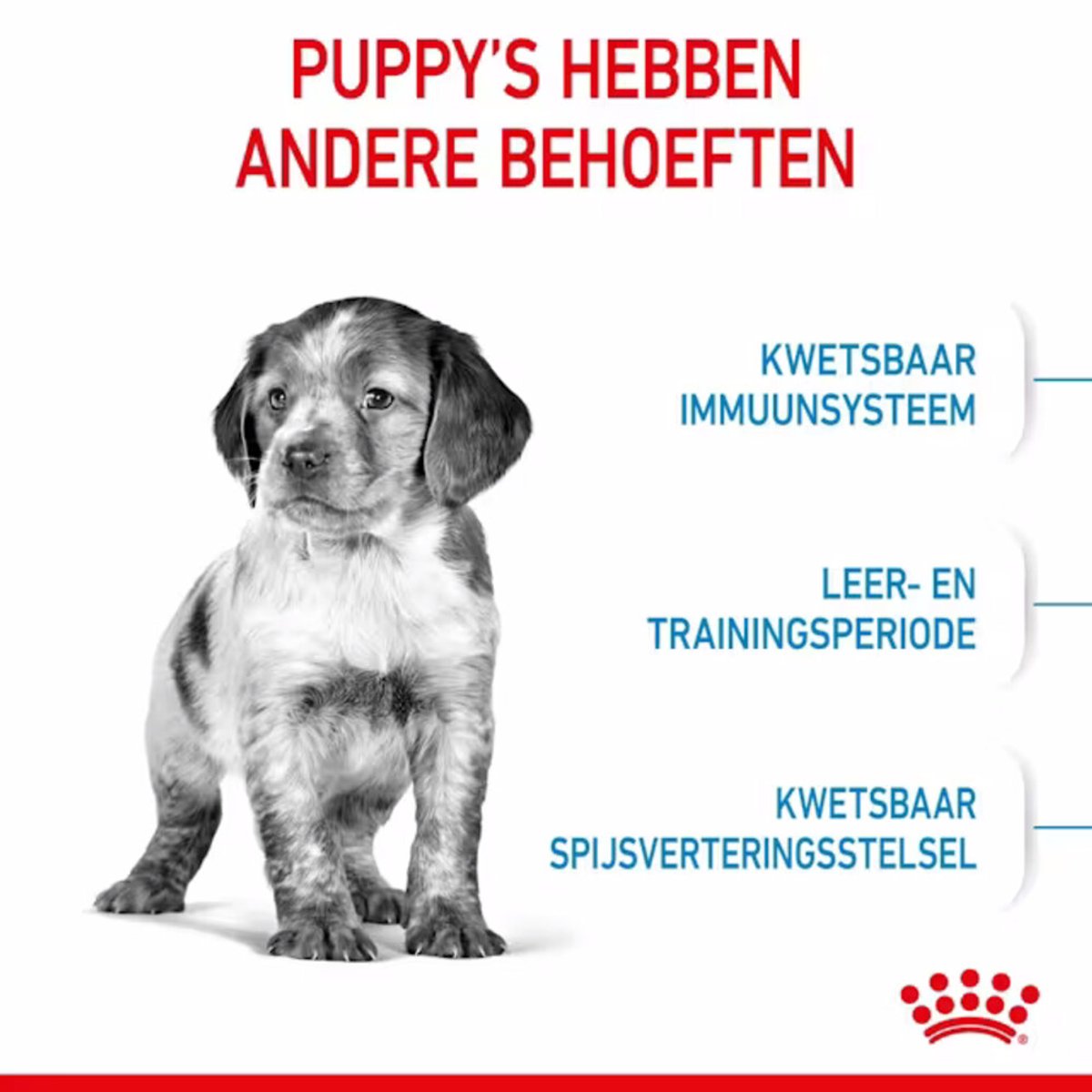 Royal Canin Puppy - 15 KG - Medium - Hondenbrokken thumbnail 6
