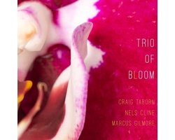 Trio Of Bloom - Trio Of Bloom