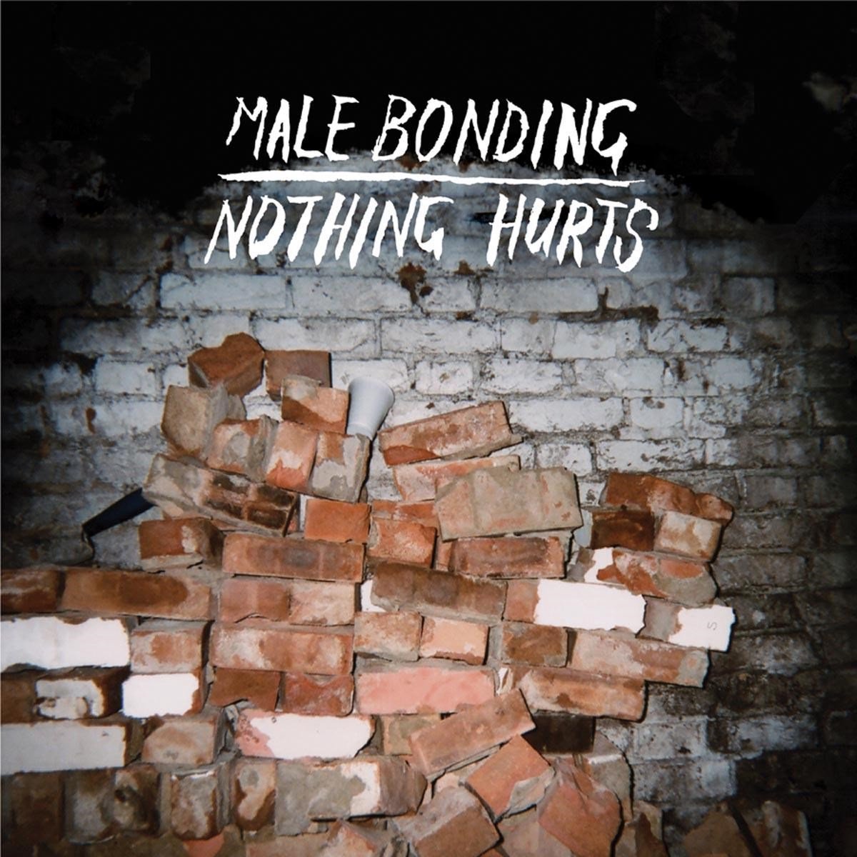 Male Bonding - Nothing Hurts (LP)