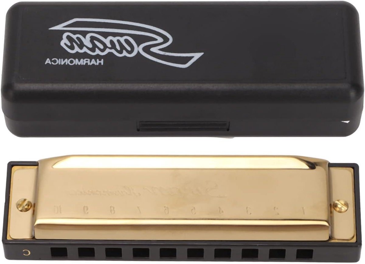 Harmonica met 10 gaten en 20 tonen voor beginners en kinderen - Gouden cadeau