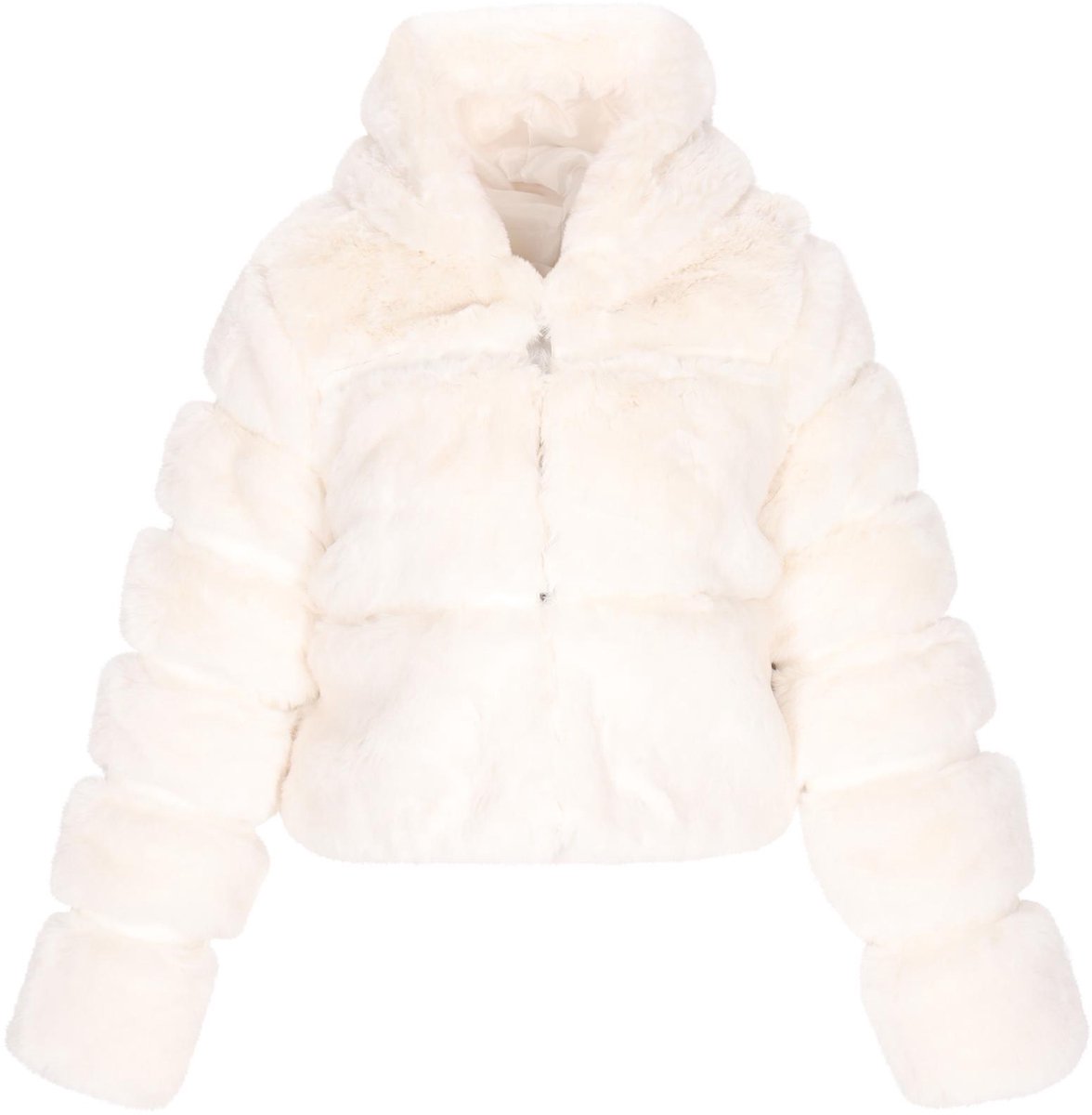 taddy jacket