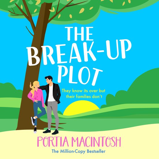 The Break-Up Plot - cover