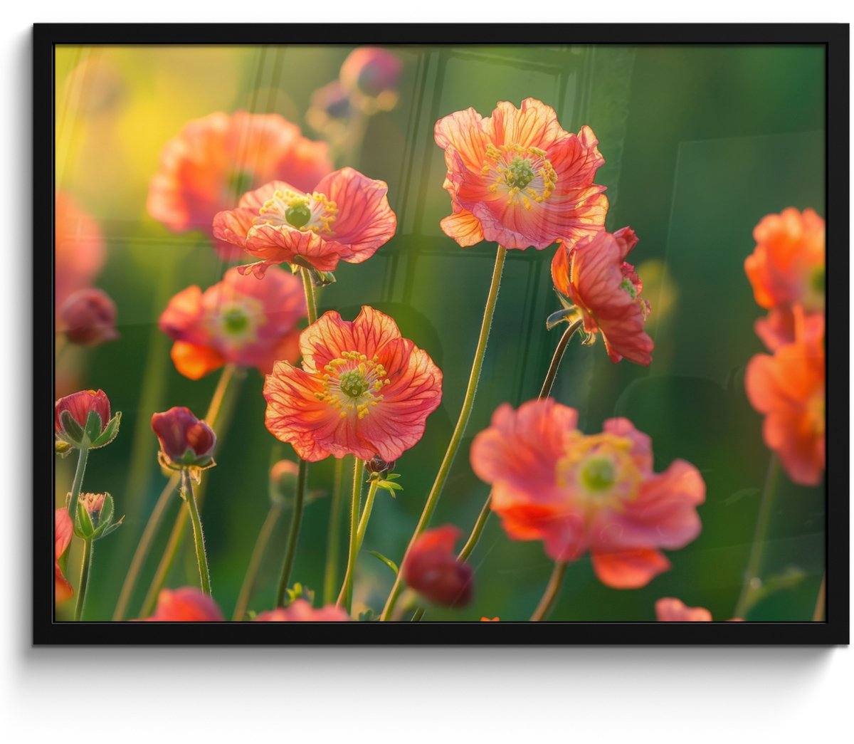 FrameYourWall Poster in lijst - Fotolijst 70x50 cm - Posters - Bloemenveld - Zonnestralen - Oranje - Posterlijst zwart - Decoratie - Wanddecoratie woonkamer - Muurdecoratie slaapkamer