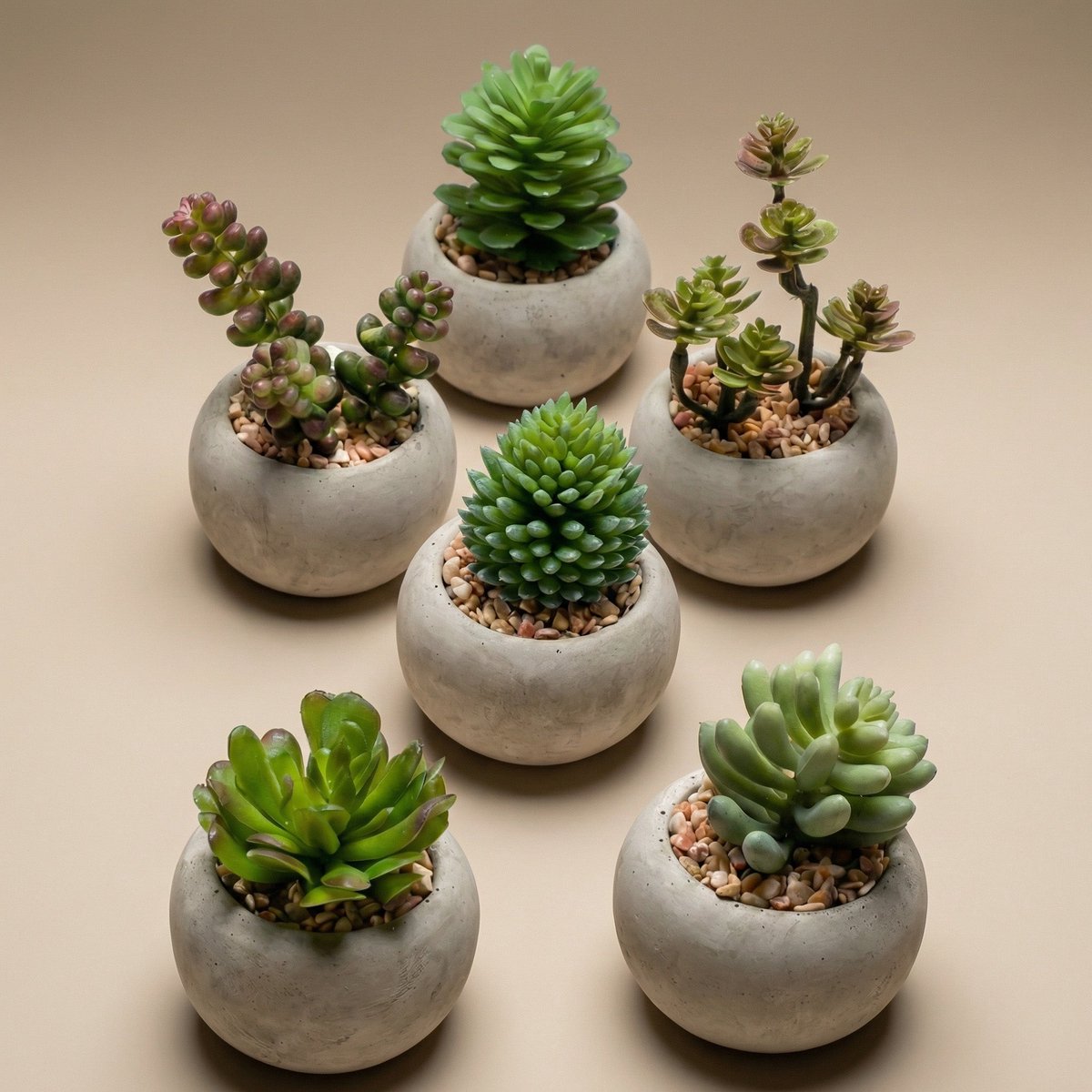 Easyplants Kunst Vetplanten in Cementen Pot - Groen - 6 Vetplanten