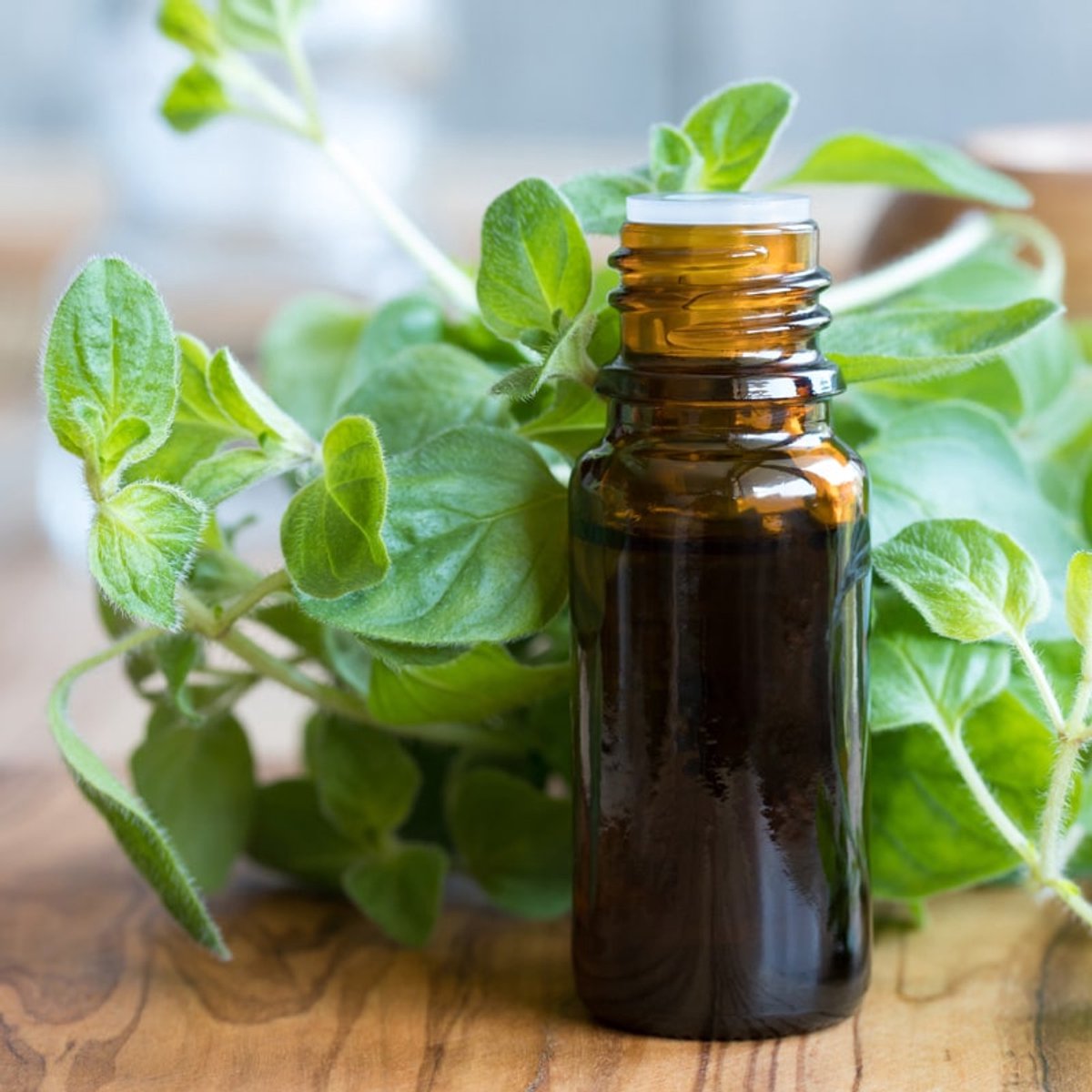 Oregano Etherische Olie - 250 ml