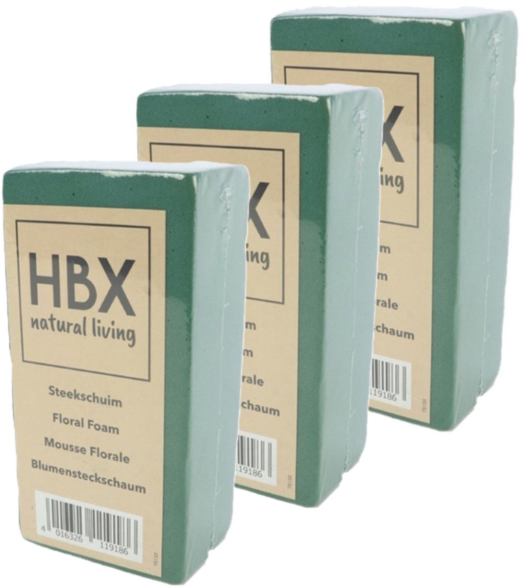 HBX Natural Living Oase steekschuim - 5x - groen - 20 x 10 x 7,5 cm - foam blokken - rechthoek - Bloemstuk maken - Kerststukje maken