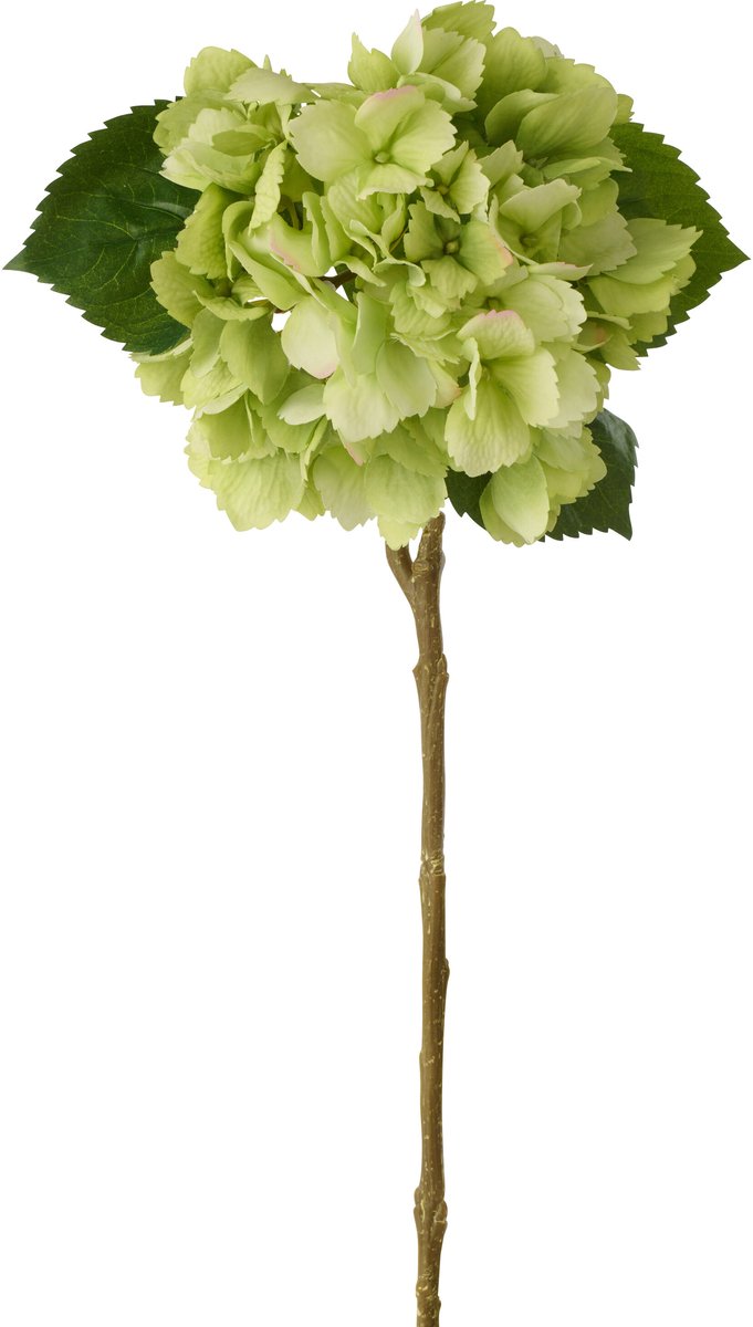 J-Line hortensia Echt Gevoel - kunststof - groen - 4 stuks